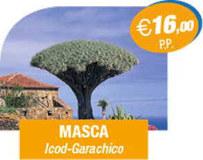 masca bus offer